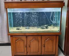 Fish Aquarium