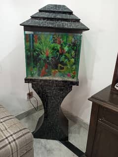 Aquarium for sale