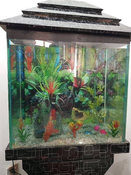 Aquarium for sale 1