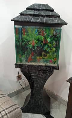 Aquarium