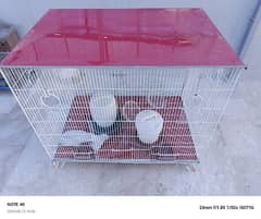 6 birds pair cage urgent sale rupees 10k  03152990798