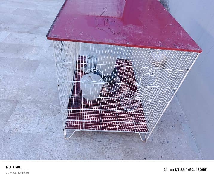 6 birds pair cage urgent sale rupees 10k  03152990798 2