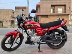 Yamaha YB 125Z-DX