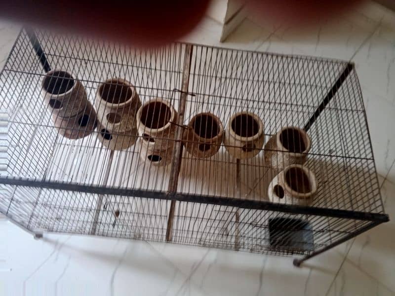 birds cage 3