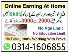 Online job at Home/Part Time/Data Entry/Typing/Assignments/Teaching