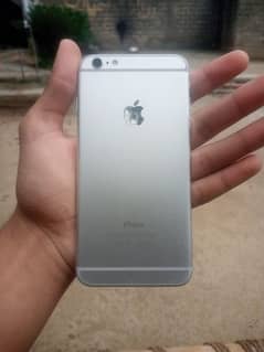 iPhone 6 plus