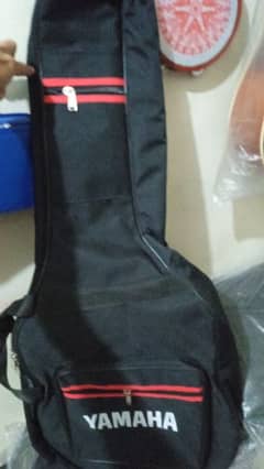 Guitar Foambag