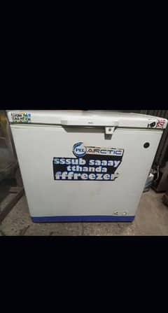 Pel single door deep freezer