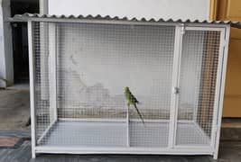 Birds Cage