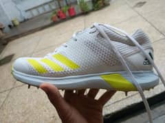 Adidas Adipower vector mid cricket spike shoes 2024 0