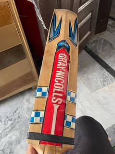 hard ball cricket bat 0