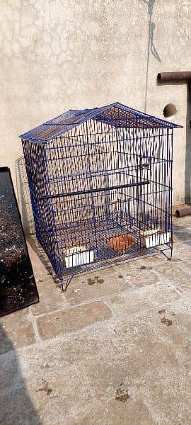 Parrot Cage 2