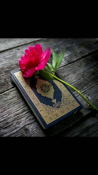 Quran Classes Online 0