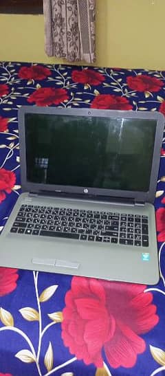 hp laptop