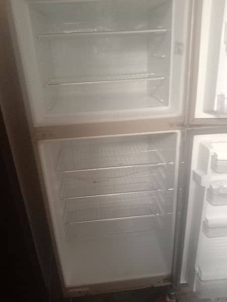 fridge 3