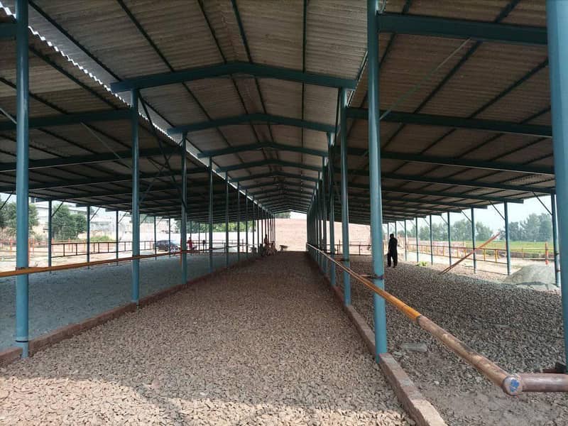 Fiber Cement Corrugated Sheets/Roofing/Warehouse/DairyFarm/CattleShed 17