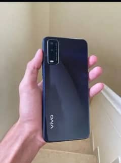 vivo