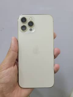 iPhone 12 Pro Max HK pta