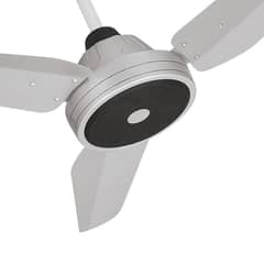 Royal Ceiling Fan AC DC