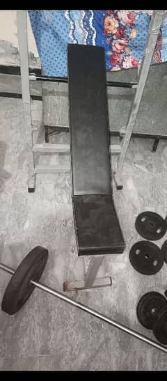 gym bench