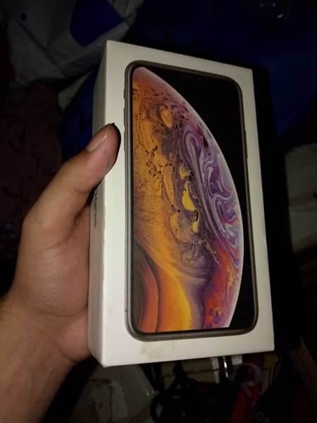 iPhone Xs 64gb Golden Color Box 8