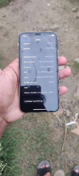 iPhone X 256 GB PTA Approved 4