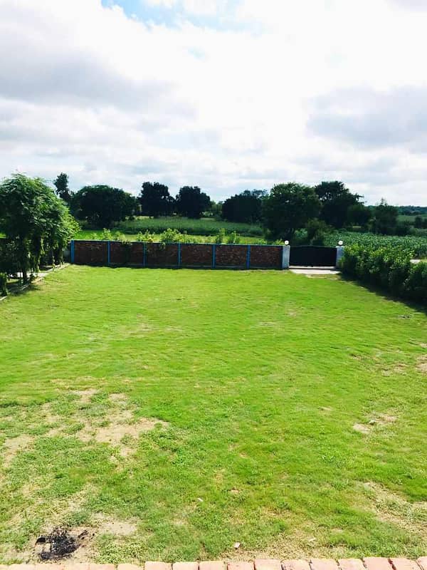 Beautiful Farm House and Swimming Pool 5