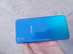 vivo