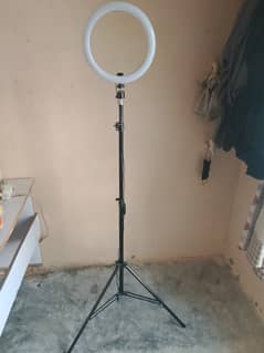 Ring Light with 7 feet Stand