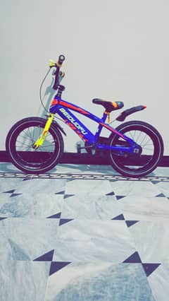 Imported Cycle 16 inch