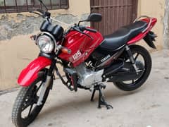 Ybr 125G 2023