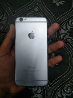 iPhone 6