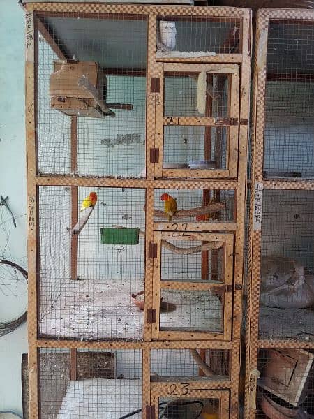 Birds cages 1