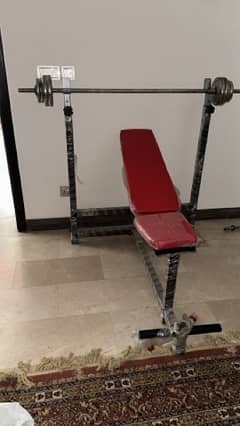 bench press exercise bench