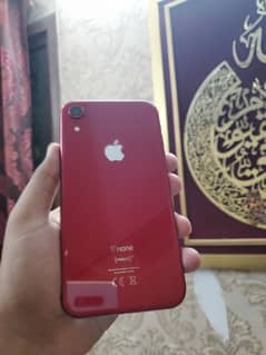 i phone xr pta approved