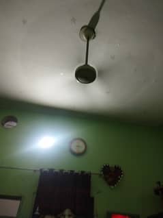 Ceiling fan