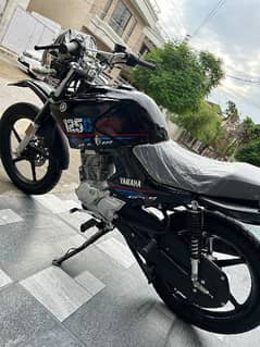 YAMAHA YBRG 125 2024