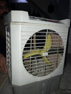 mini air cooler 12 volt  (read add)