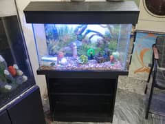 Fish Aquarium