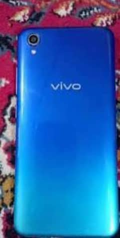 vivo