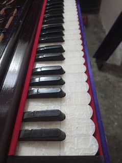 New harmonium