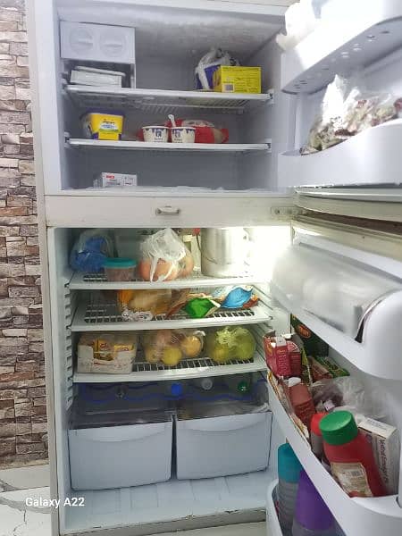 PEL genuine refrigerator for sale 5