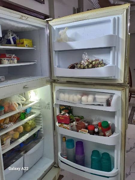 PEL genuine refrigerator for sale 6