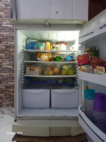 PEL genuine refrigerator for sale 7