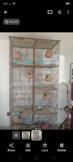 Cage for sale 8 portion contact. 03341386752