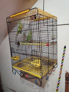 gareen parrot pair with zarar cage