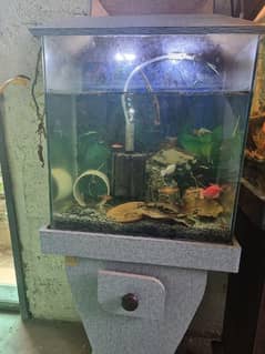 Aquarium  1.5 feet