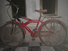 cycle for sale