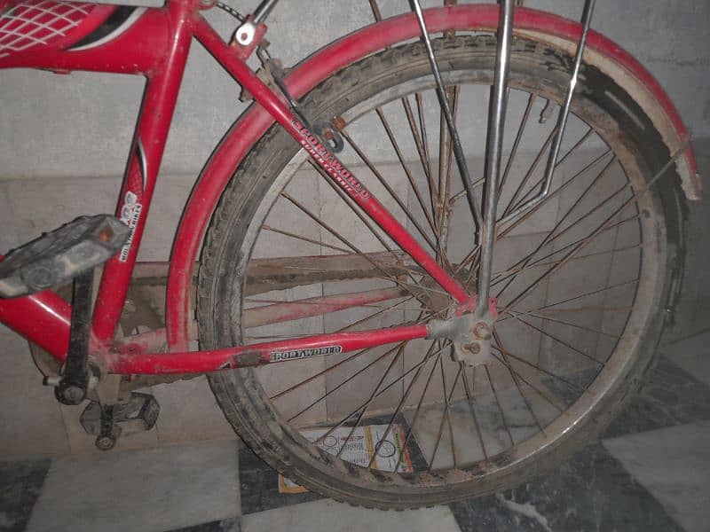 cycle for sale 3