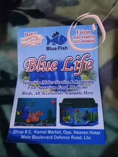 fish aquarium home service available 0